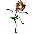 fiore ballerino